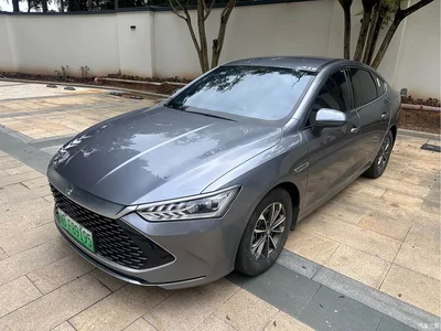 2021 BYD Qin PLUS DM-i 55KM Premium, фото 1, лот 10363720