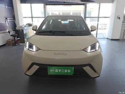 2024 BYD Seagull Glory Edition 305km Freedom Edition, фото 3, лот 10262517