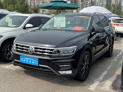 2019 Volkswagen Tiguan L 380TSI Auto AWD Smart Luxury Edition China V, фото 1, лот 11190247