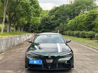 2020 Alfa Romeo Giulia 2.0T 280HP Luxury Edition, фото 2, лот 10240309