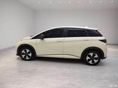 2025 BYD Dolphin 420km Freedom Edition, фото 3, лот 10251345