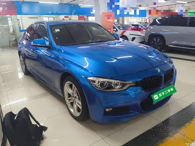 2018 BMW 3 Series 320Li Leading M Sport Package, фото 4, лот 10457792