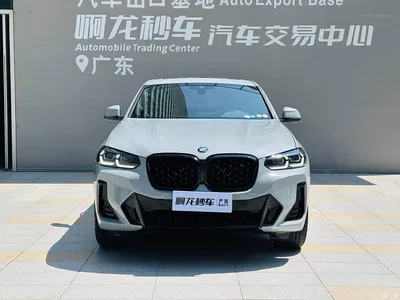 2022 BMW X4 xDrive 30i M Sport Blackout Package, фото 2, лот 10405887