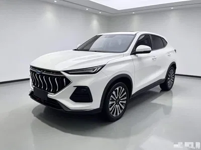 2021 Changan Oshan Changan Oushang X5 1.5T DCT Premium, фото 2, лот 11162640