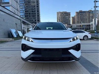 2025 BYD Song Pro New Energy 2nd Gen DM-i 115KM Excellence, фото 2, лот 10275057