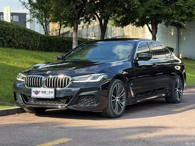 2023 BMW 5 Series 530Li Leading M Sport Package, фото 1, лот 10679330