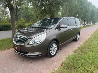 2013 Buick GL8 3.0L GT Luxury Business Elegance Edition, фото 1, лот 11347518