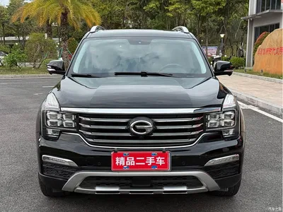 2017 GAC Trumpchi Trumpchi GS8 320T 2WD Luxury Smart Connect (7-seater), фото 2, лот 10416457