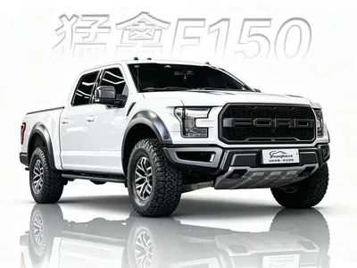 2018 Ford F-150 Raptor 3.5T Raptor Performance Enhanced Edition, фото 1, лот 10297436