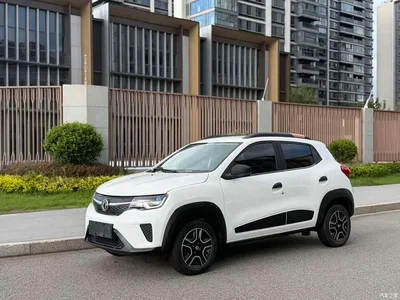 2021 Dongfeng Yipai Dongfeng Nano EX1 Quality Enjoyment Edition, фото 1, лот 10412104