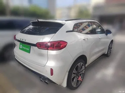2017 WEY VV5 2.0T Flagship Model, фото 4, лот 10450815