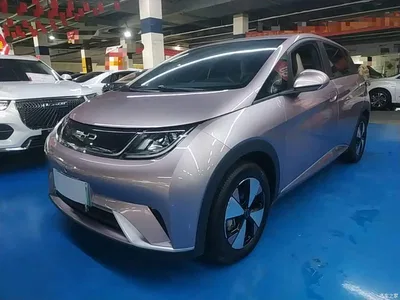 2023 BYD Dolphin 420km Freedom Edition, фото 1, лот 11512220