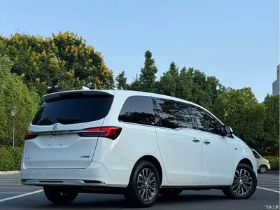 2023 Buick GL8 Land Business Class 652T Luxury, фото 4, лот 10257557
