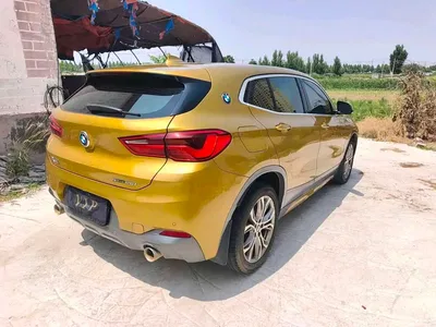 2019 BMW X2 (Import) sDrive25i Leading M Off-Road Package China VI, фото 4, лот 10475573