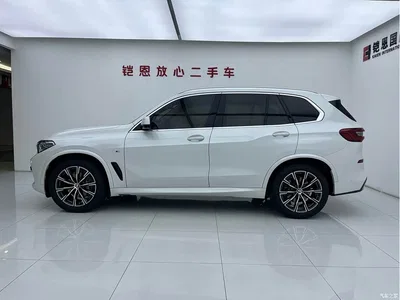 2019 BMW X5 (Import) xDrive40i M Sport Package, фото 4, лот 11178635