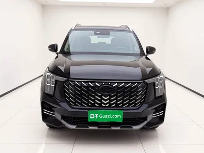 2025 GAC Trumpchi Trumpchi GS8 Pilot Series 2.0TGDI AWD Luxury Edition 5-Seater, фото 2, лот 10284634