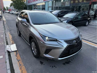 2020 Lexus NX 200 AWD F Sport China VI, фото 4, лот 10315960