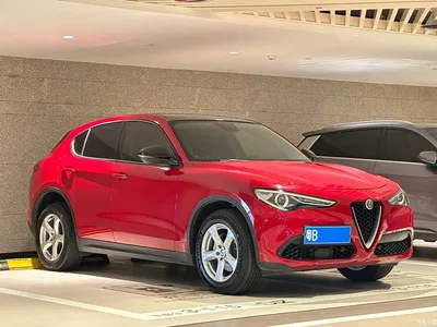 2017 Alfa Romeo Stelvio 2.0T 200HP Elite, фото 3, лот 10239851