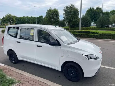 2024 Wuling Motors Wuling Hongguang New Energy Pure Electric 300KM Standard, фото 4, лот 11167371