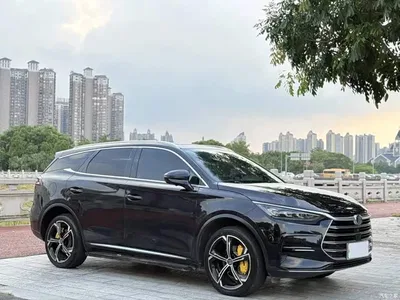 2021 BYD Tang New Energy DM-i 112KM Honor, фото 3, лот 10518558