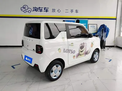 2023 Geely Galaxy Panda Mini 200km Endurance Bear, фото 3, лот 10429344