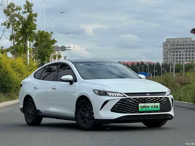 2025 BYD Qin PLUS DM-i Smart Drive 55KM Leader, фото 2, лот 10363135