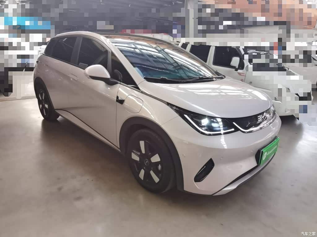 2025 BYD Dolphin Smart Drive Edition 410km Fashion Version, фото 4, лот 11225152