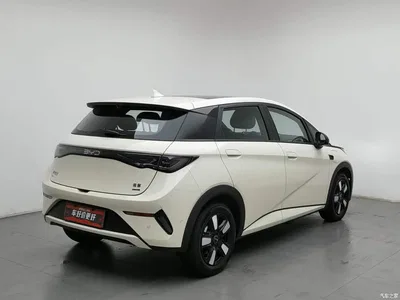 2025 BYD Dolphin Smart Drive Edition 410km Fashion Version, фото 2, лот 11104566
