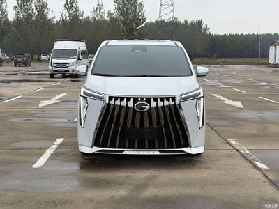 2023 GAC Trumpchi Trumpchi M8 Model Master Series 400T Ultimate Edition, фото 2, лот 11181654