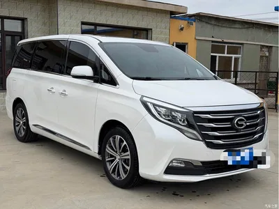 2018 GAC Trumpchi Trumpchi M8 320T Premium Edition, фото 2, лот 11206715