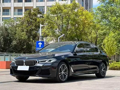 2023 BMW 5 Series 530Li Leading M Sport Package, фото 1, лот 11089769