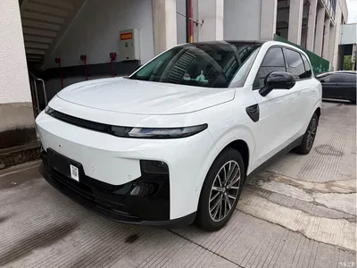 2025 Leapmotor B10 510 Joy Edition, фото 1, лот 10592982