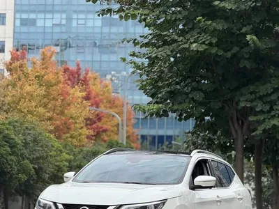 2019 Nissan Qashqai 2.0L CVT Luxury Edition, фото 1, лот 10675104