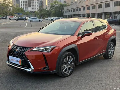 2020 Lexus UX Electric 300e Pure Yue Edition, фото 1, лот 10768177