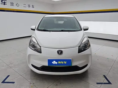 2021 Changan Benben E-Star National Edition Colorful Version LFP (31.95kWh), фото 2, лот 10274953