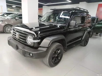 2023 Tank 300 Off-Road Edition 2.0T Conqueror, фото 2, лот 10345499