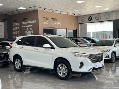 2021 Haval M6 PLUS 1.5T DCT Luxury Smart Connect, фото 3, лот 10298947