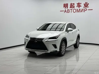 2020 Lexus NX 200 FWD Sharp Edition China VI, фото 3, лот 10312598