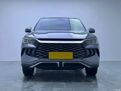 2024 BYD Song Pro New Energy Glory Edition DM-i 71KM Pilot, фото 2, лот 10274822