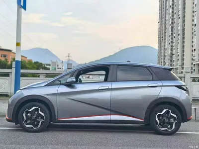 2021 BYD Dolphin 405km Freedom Edition, фото 4, лот 10302344