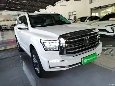 2024 Tank 500 EV Hi4-T, фото 4, лот 10345316