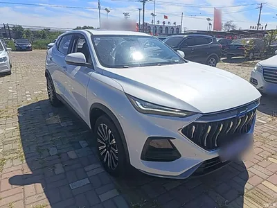 2021 Changan Oshan Changan Oushang X5 1.5T DCT Premium, фото 4, лот 11162700