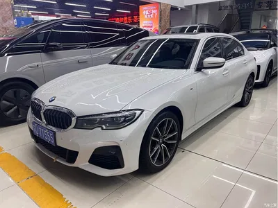2020 BMW 3 Series 320Li M Sport Package, фото 1, лот 11199653