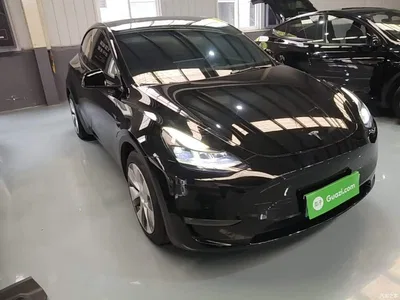 2021 Tesla Model Y Standard Range Rear-Wheel Drive, фото 4, лот 10370606