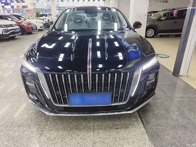2025 Hongqi H5 1.5T DCT Flag Rhythm 500,000 Units Memorial Edition, фото 3, лот 11195175