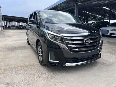 2020 GAC Trumpchi Trumpchi M8 Pilot 390T Ultimate Edition, фото 4, лот 10423317