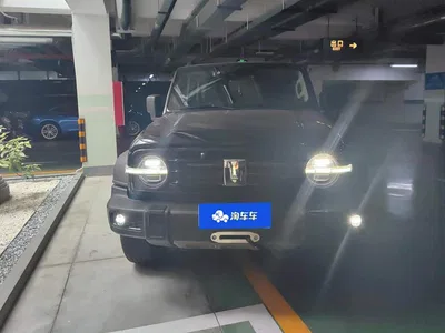 2021 Tank 300 Off-road Version 2.0T Conqueror, фото 2, лот 11247230