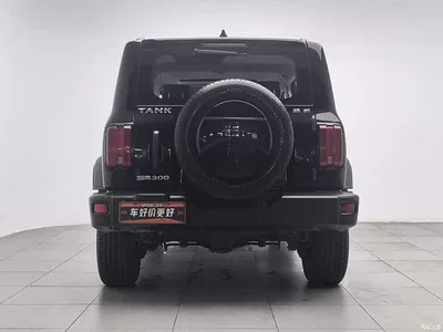 2021 Tank 300 Off-road Edition 2.0T Challenger, фото 4, лот 10344514