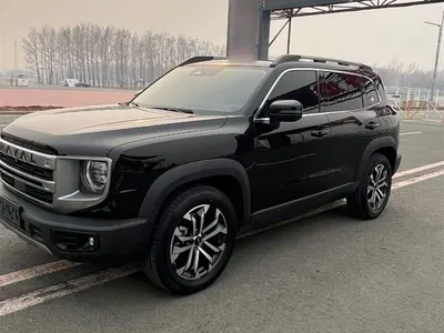 2024 Haval Big Dog 1.5T DCT Border Collie Edition, фото 3, лот 10361237