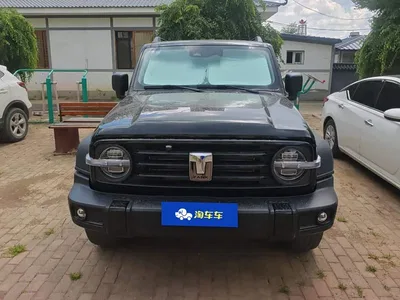 2023 Tank 300 Off-Road Edition 2.0T Challenger, фото 2, лот 10344675